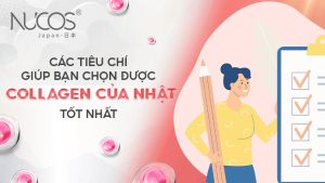 Các tiêu chí giúp bạn chọn được Collagen của Nhật tốt nhất