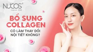 Bổ sung Collagen có làm thay đổi nội tiết không?