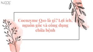 Coenzyme Q10 là gì? Lợi ích và công dụng chữa bệnh