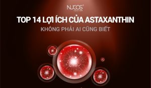 Astaxanthin là gì? Khái niệm, nguồn gốc, và 14 lợi ích