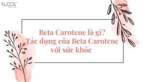 Beta Carotene là gì? Tác dụng của Beta Carotene với sức khỏe