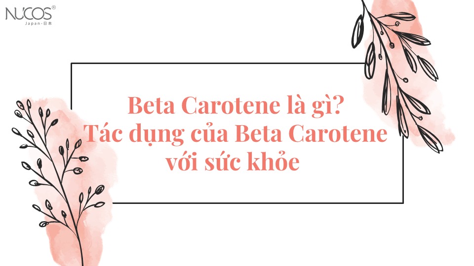 Beta Carotene là gì? Tác dụng của Beta Carotene với sức khỏe