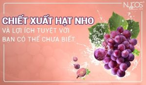 Bật mí những lợi ích tuyệt vời của chiết xuất hạt nho