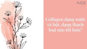 Collagen có bao nhiêu loại? Collagen bột hay nước tốt hơn?