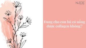 Đang cho con bú có uống được collagen không? | Nucos