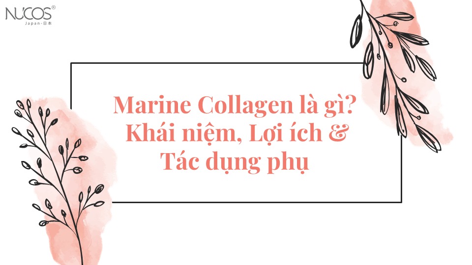 Marine Collagen là gì: Khái niệm, Lợi ích & Tác dụng phụ