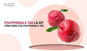 Polyphenols Táo giúp chống Oxy hóa, giảm lượng mỡ trong máu