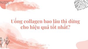 Uống collagen bao lâu thì dừng cho hiệu quả tốt nhất?