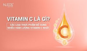 Vitamin C là gì? Các thực phẩm giàu Vitamin C nhất - Nucos